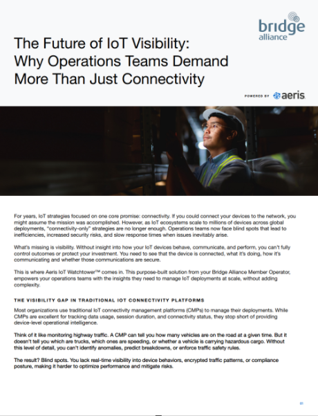 The Future of IoT Visibility: Why Operations Teams Demand More Than Just Connectivity