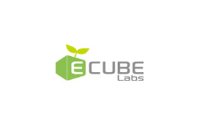 South Korea’s Ecube Labs uses Vodafone M2M platform to take ‘smart green’ technology global