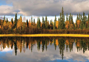 Scandinavia – an area optimised for the development of M2M services?