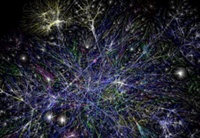 More of a network of Subnets of Things than an Internet of Things?