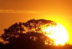 The top 5 misconceptions about 2G sunsetting