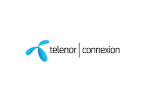 Telenor Connexion and Bluefish Technologies announce joint solution for safeguarding networks