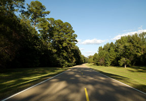 Paralysed by indecision on the road to the IoT