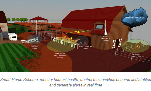 smart-home-horse