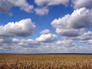 Private cloud platforms expected to power IoT services say 70% in Gemalto’s 2015 IoT Outlook Report