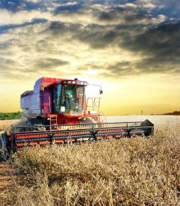 farmer image