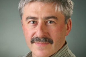 From Babel to enable: Emerging standards in the  Internet of Things