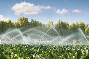 Smart technology is helping users to manage irrigation more efficiently