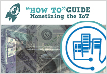 ‘How To’ Guide: Monetizing the IoT