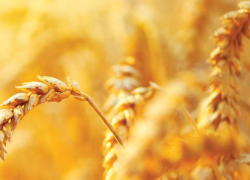 Agricultural equipment manufacturer relies on IoT to help farmers improve efficiency and increase profits