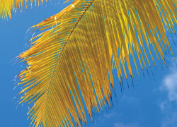 Digicel Group uses IoT-X to manage customer connectivity