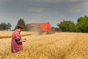 Skills shortage holding back IoT innovation for 60% of firms in the agritech sector, Inmarsat research finds