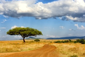 Uncontrollable “mother nature” does not mean uncontrollable business operation