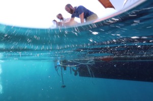 Undersea bots used to beat raiders with the latest archaeosubs