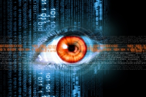 The potential for integrating visual data with the IoT