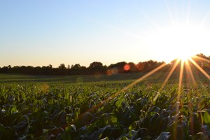 How the network ecosystem is changing the future of the farm