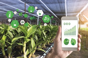 LoRAWAN starter kit for agriculture launched with cloud access