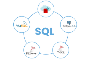 SQL technology; benchmark for a reason