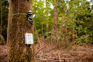 Rising demand sees Vodafone expand narrowband IoT coverage to reach 98% of UK geography