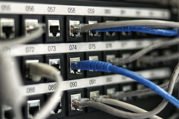 Network cables connected to server