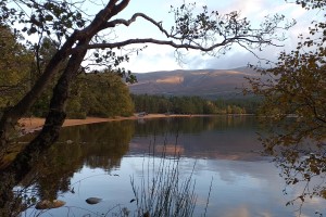 IoT network in Cairngorms set to help businesses and visitors whilst protecting National Park