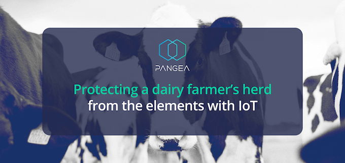 Protecting a dairy farmer’s herd from the elements with IoT