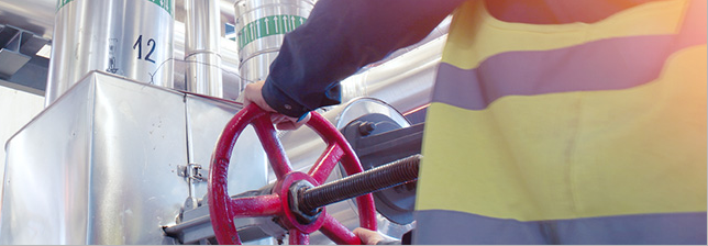 Monitoring Worker Status with IoT to Ensure Worksite Safety