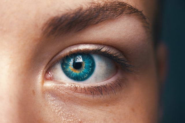 Human eye