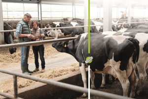 Dairy industry using AT&amp;T IoT connectivity to deliver near real-time information to farmers
