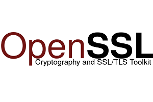 New OpenSSL vulnerability: Security company automatically detects affected software even in IoT and IIoT devices