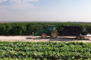 Wiliot disrupts cold chain operations in launch of reusable transport Item solution with Israel’s retailer Shufersal