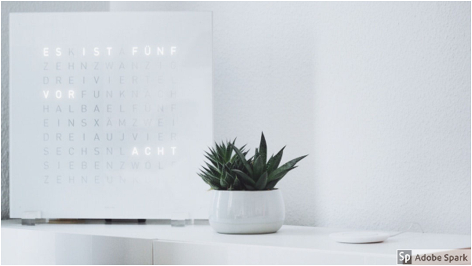 A plant
