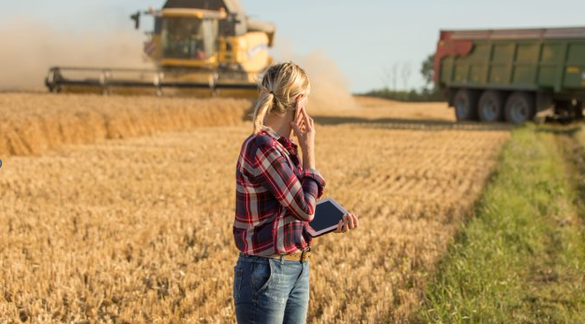 A woman at field of grain