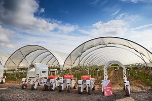 BT collaborates on the use of robotics and IoT to change and automate agriculture
