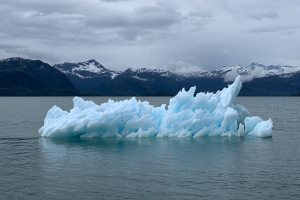 Could IoT and reliable mobile coverage be the antidote to climate change?