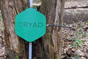 Dryad, Vodafone to bring ‘ultra-early’ wildfire detection technology to Spanish market