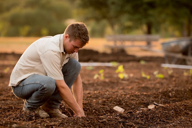 farmer