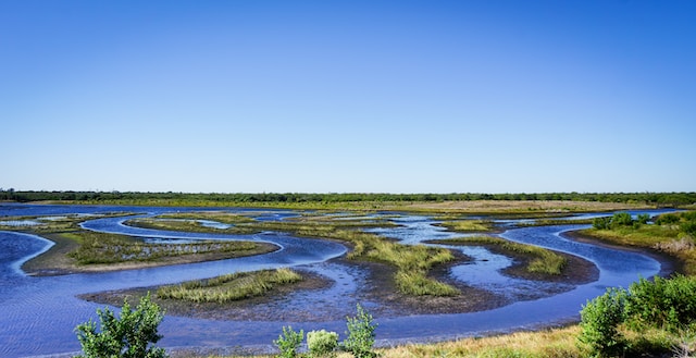 Environmental Monitoring