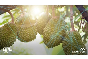 Semtech’s LoRa chip-to-cloud platform enables sustainable farming in Malaysia