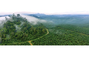 Delivering environmental value – the systems integrators opportunity