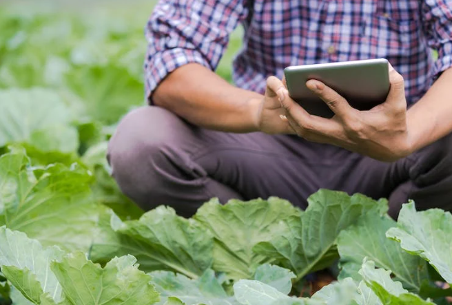 Virgin Media O2 trials ‘Connected Farm of the Future’ at Cannon Hall Farm