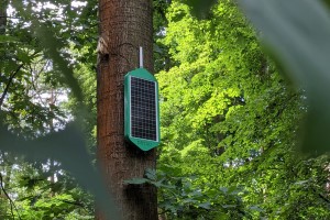 A solution to wildfire crisis? Addressing environmental, economic challenges through IoT innovation