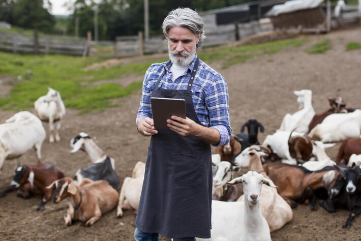 How IoT is revolutionising livestock management