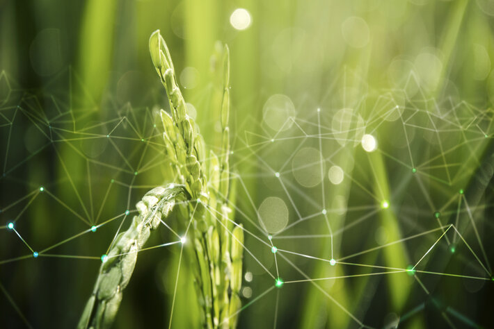 IoT in Smart Agriculture: 7 Real-World Examples &amp; Benefits