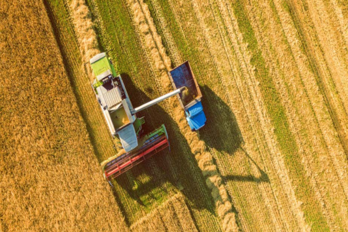 Digital transformation in agriculture: driving towards sustainable development goals
