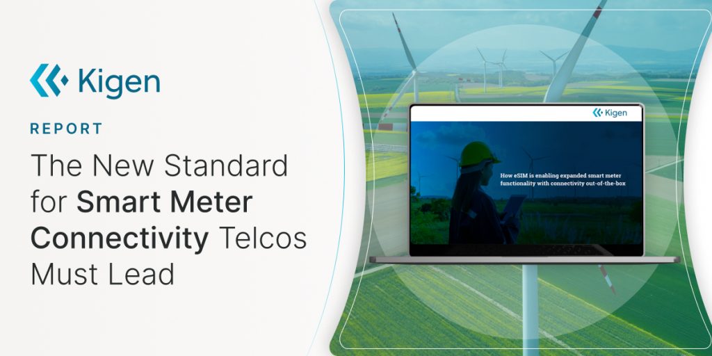 eSIM: The New Standard for Smart Meter Connectivity Telcos Must Lead